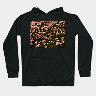 Dreaming Fields Hoodie